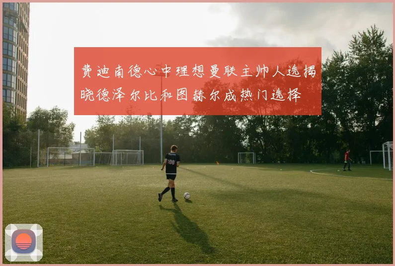 费迪南德心中理想曼联主帅人选揭晓德泽尔比和图赫尔成热门选择