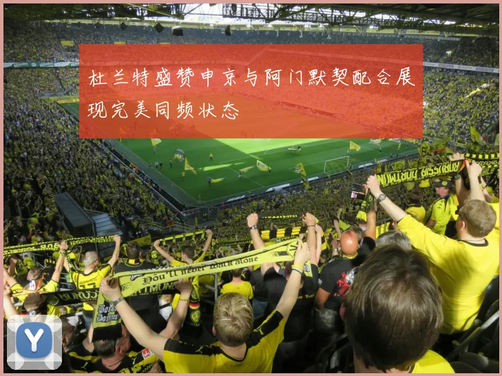 杜兰特盛赞申京与阿门默契配合展现完美同频状态