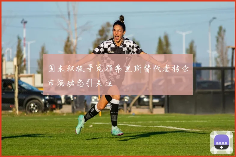 国米积极寻觅邓弗里斯替代者转会市场动态引关注