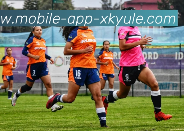 星空体育平台生态图