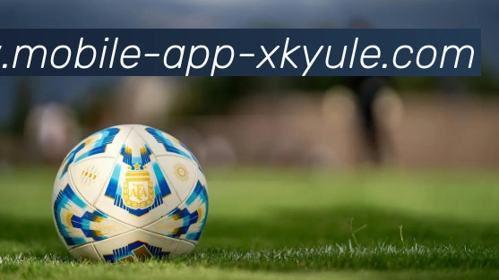 App 展示图