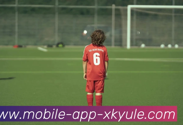 星空体育APP 封面图