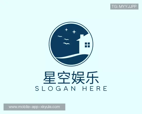 关于星空娱乐平台